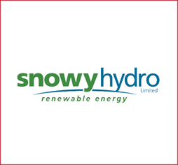 Snowy Hydro Logo